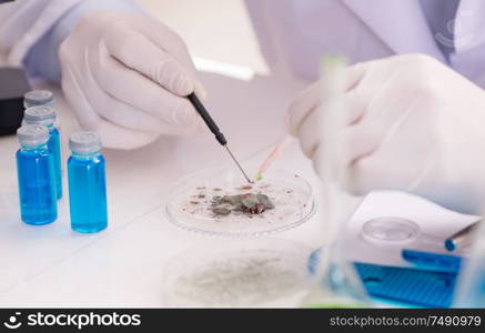 The male doctor working in the lab on virus vaccine. Male doctor working in the lab on virus vaccine