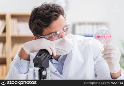 The male doctor working in the lab on virus vaccine. Male doctor working in the lab on virus vaccine