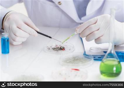 The male doctor working in the lab on virus vaccine. Male doctor working in the lab on virus vaccine