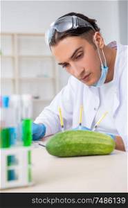 The male nutrition expert testing vegetables in lab. Male nutrition expert testing vegetables in lab