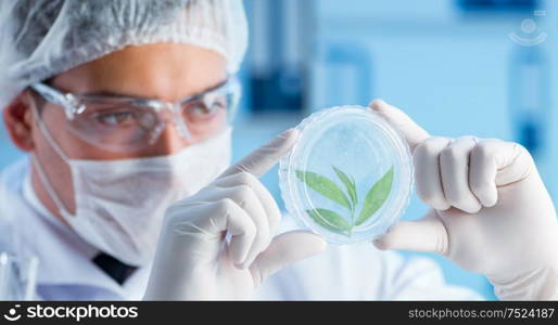 The male scientist researcher doing experiment in a laboratory. Male scientist researcher doing experiment in a laboratory