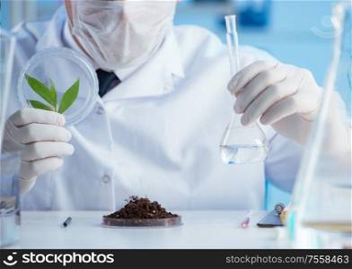 The male scientist researcher doing experiment in a laboratory. Male scientist researcher doing experiment in a laboratory