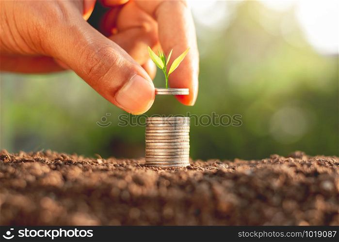 The man&rsquo;s hand is taking a stack of coins. While the seedlings are growing on the coin.
