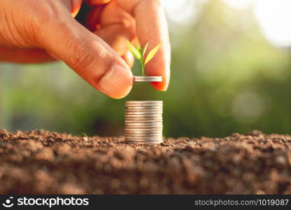 The man&rsquo;s hand is taking a stack of coins. While the seedlings are growing on the coin.