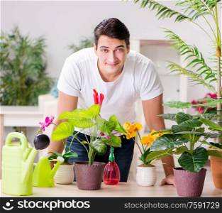 The man taking care of plants at home. Man taking care of plants at home