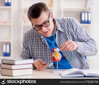 The medical student studying heart in classroom during lecture. Medical student studying heart in classroom during lecture