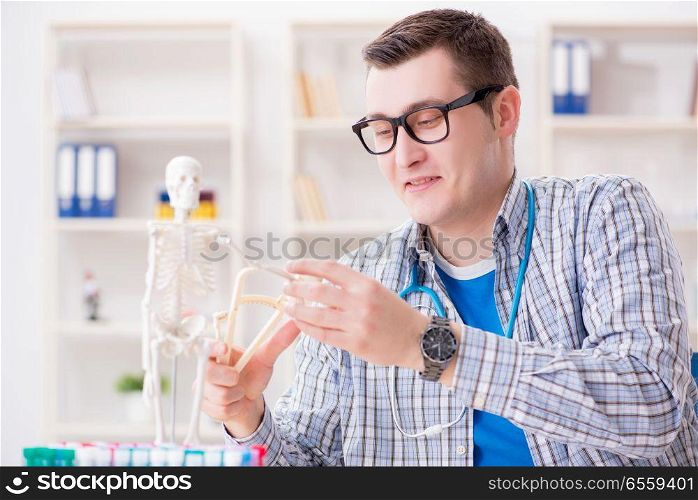 The medical student studying skeleton in classroom during lecture. Medical student studying skeleton in classroom during lecture