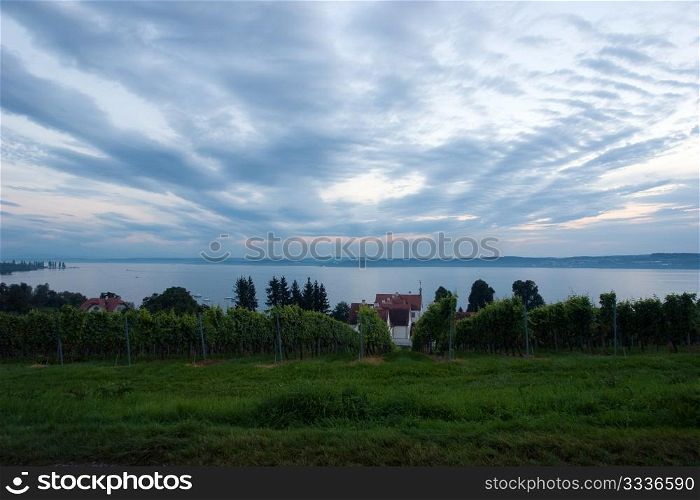 The Meersburg vineyards at the northern banks of Lake Constance, Germany. Vineyard in the fall of Stuttgart