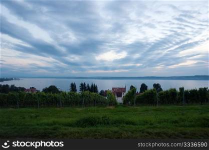 The Meersburg vineyards at the northern banks of Lake Constance, Germany. Vineyard in the fall of Stuttgart