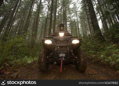 The Menacing Headlights of an ATV Destroying the Pacific Forests