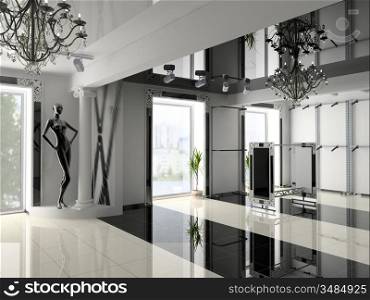 the modern shop interior design project(3D image)