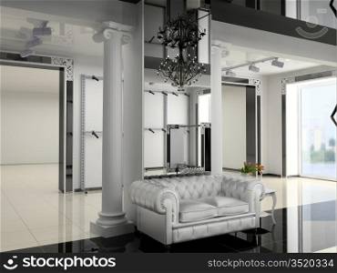 the modern shop interior design project (3D image)