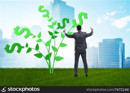 The money tree concept with businessman in growing profits . Money tree concept with businessman in growing profits 