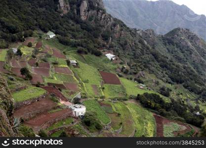The Montanas de Anaga in the northeast of the Island of Tenerife on the Islands of Canary Islands of Spain in the Atlantic. . SPAIN CANARY ISLAND TENERIFE