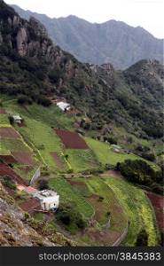 The Montanas de Anaga in the northeast of the Island of Tenerife on the Islands of Canary Islands of Spain in the Atlantic. . SPAIN CANARY ISLAND TENERIFE