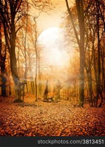 The moon in autumnn forest with fallen leaves. Elements of this image furnished by NASA