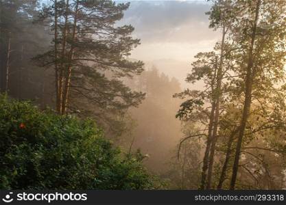 The morning mist rises over the river canyon. Landscape