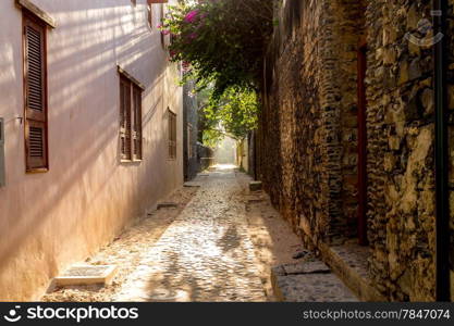 The morning sun shining through the overhanging plants in a narrow alley of Goree Island