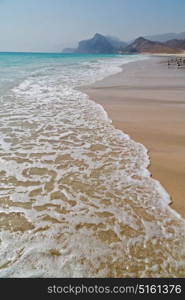 the mountain and sea seagull full in oman coastline of salalah