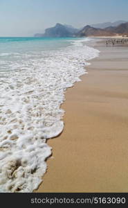 the mountain and sea seagull full in oman coastline of salalah