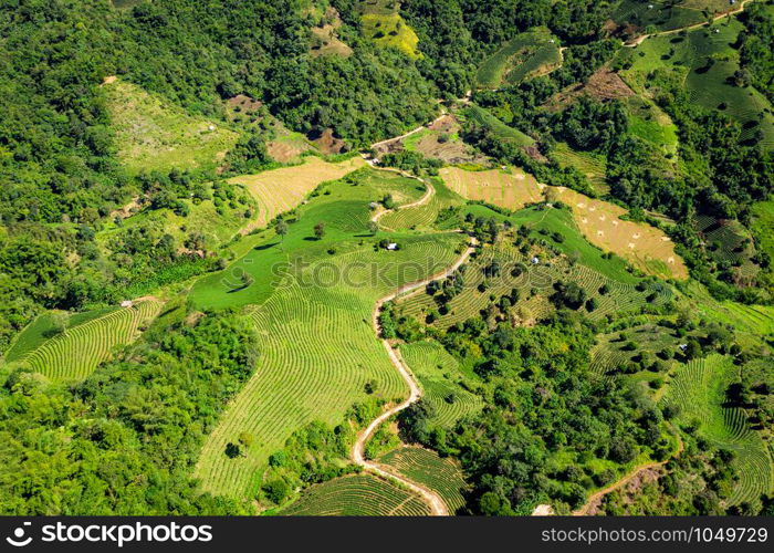 the mountain path connects the city and agricultural area chiang rai Thailand aerial top view from drone