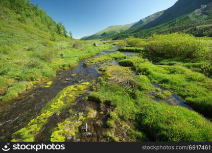 The mountain river in the mountains. Current through the gorge the river. Stones and rocky land near the river. Beautiful mountain landscape. The mountain river in the mountains. Current through the gorge the river. Stones and rocky land near the river. Beautiful mountain landscape.