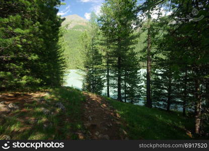 The mountain river in the mountains. Current through the gorge the river. Stones and rocky land near the river. Beautiful mountain landscape. The mountain river in the mountains. Current through the gorge the river. Stones and rocky land near the river. Beautiful mountain landscape.