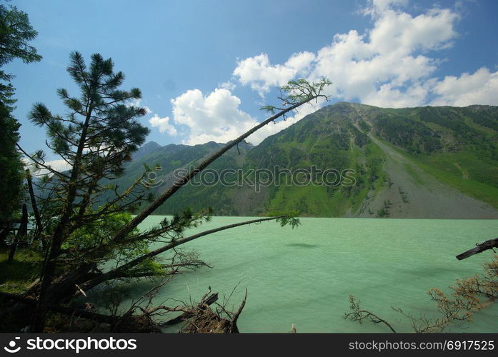 The mountain river in the mountains. Current through the gorge the river. Stones and rocky land near the river. Beautiful mountain landscape. The mountain river in the mountains. Current through the gorge the river. Stones and rocky land near the river. Beautiful mountain landscape.