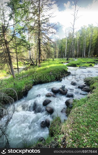 The mountain river in the mountains. Current through the gorge the river. Stones and rocky land near the river. Beautiful mountain landscape. The mountain river in the mountains. Current through the gorge the river. Stones and rocky land near the river. Beautiful mountain landscape.