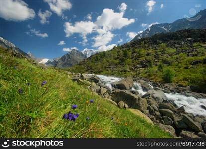 The mountain river in the mountains. Current through the gorge the river. Stones and rocky land near the river. Beautiful mountain landscape. The mountain river in the mountains. Current through the gorge the river. Stones and rocky land near the river. Beautiful mountain landscape.