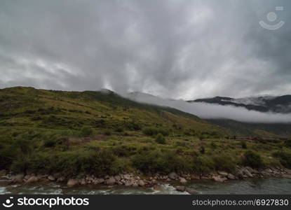 The mountain slope in lying cloud with the evergreen conifers shrouded in mist in a scenic landscape view