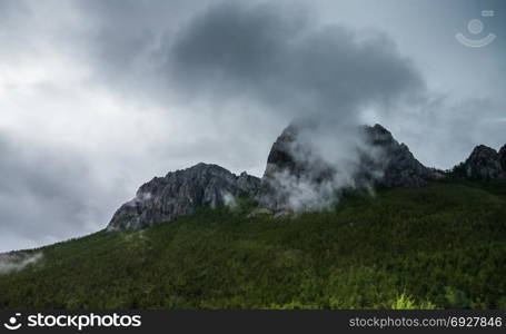 The mountain slope in lying cloud with the evergreen conifers shrouded in mist in a scenic landscape view