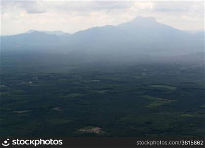 The Mountains with palmoil plantations near the City of Krabi on the Andaman Sea in the south of Thailand. . THAILAND
