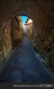 The Narrow Street in the Medieval Town in France