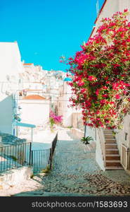 The narrow streets with stairs, white houses and flowers in beautiful village in Italy.. The narrow streets of the island with blue balconies, stairs and flowers.