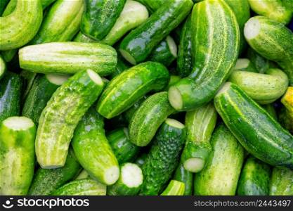 The natural green cucumber background with clipped tips. The natural green cucumber background