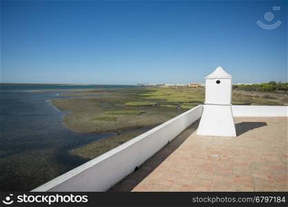 the natural Park of Quinta de marim of Ria Formosa near the Town of Olhao at the east Algarve in the south of Portugal in Europe.. EUROPE PORTUGAL ALGARVE OLHAO QUINTA DE MARIM