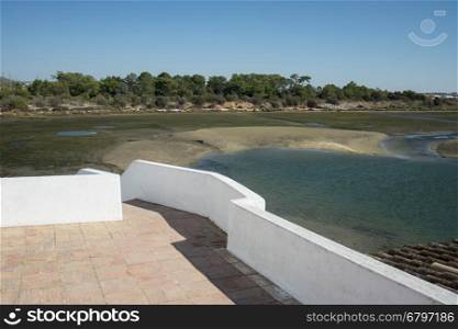 the natural Park of Quinta de marim of Ria Formosa near the Town of Olhao at the east Algarve in the south of Portugal in Europe.. EUROPE PORTUGAL ALGARVE OLHAO QUINTA DE MARIM