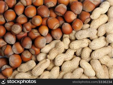 The natural texture - close-up of Walnuts and peanuts.