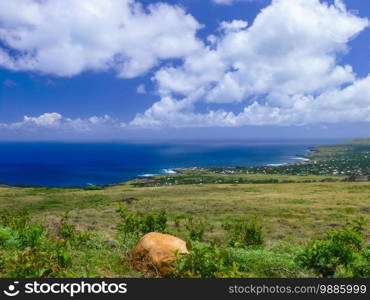 The nature of Easter Island, landscape, vegetation and coast.. nature of Easter Island, landscape, vegetation and coast.