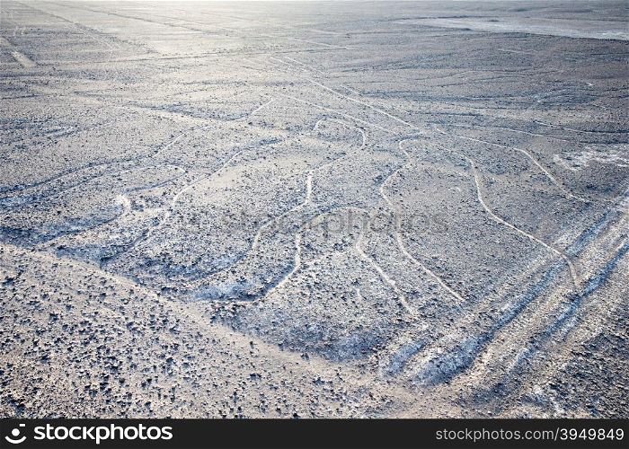 The Nazca Lines - Unesco world heritage site