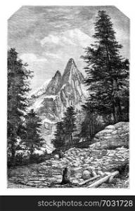 The needle of the Dru and the Aiguille Verte, in front of Montanvert .- Drawing A. Bar, after a photograph of Mr. Quetier, vintage engraved illustration. Magasin Pittoresque 1875.
