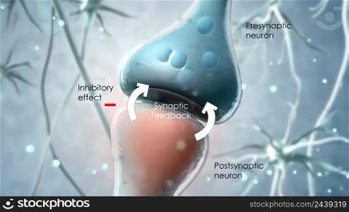 The network used by the cell receptors to communicate with the cannabidiol is called the endocannabinoid system. 3D illustration. Synaptic transmission, human nervous system.