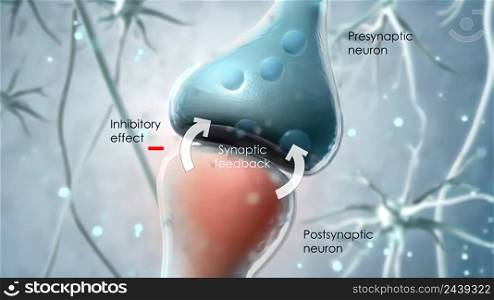 The network used by the cell receptors to communicate with the cannabidiol is called the endocannabinoid system. 3D illustration. Synaptic transmission, human nervous system.