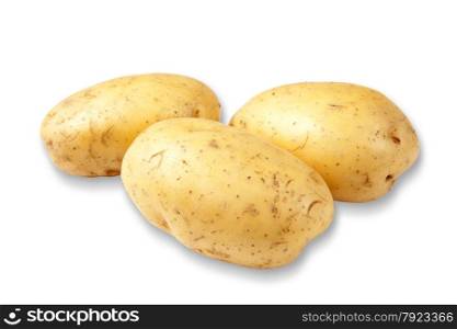 The new potato isolated on a white background