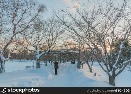 The next day the heavy snow fell, the town area of Sapporo city,Hokkaido,Japan