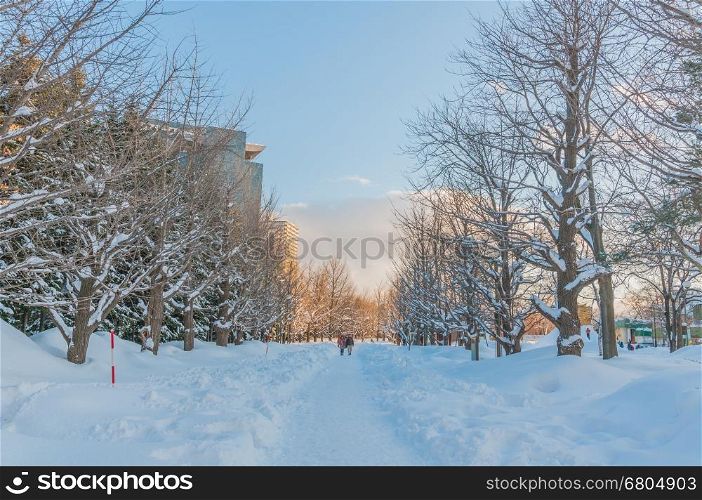 The next day the heavy snow fell, the town area of Sapporo city,Hokkaido,Japan
