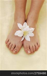The nice bare feet of a woman on yellow twill with a white lily betweenthe feet.