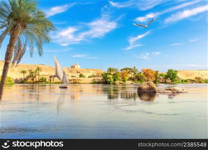 The Nile river picturesque scenery, Aswan city, Egypt.. The Nile river picturesque scenery, Aswan city, Egypt
