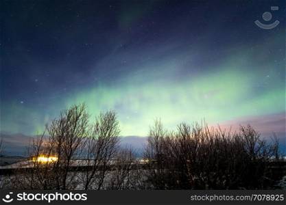 The Northern Light Aurora borealis around Lake Myvatn, Reykjahlid Iceland